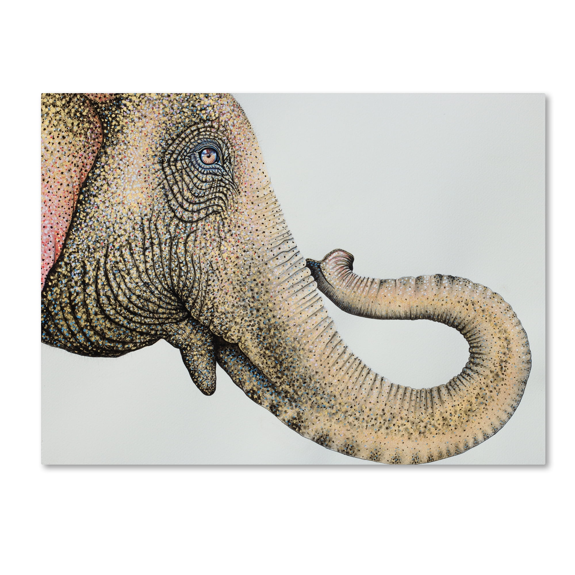 Trademark Fine Art 'Spotted Asian Elephant 2' Canvas Art by Michelle ...