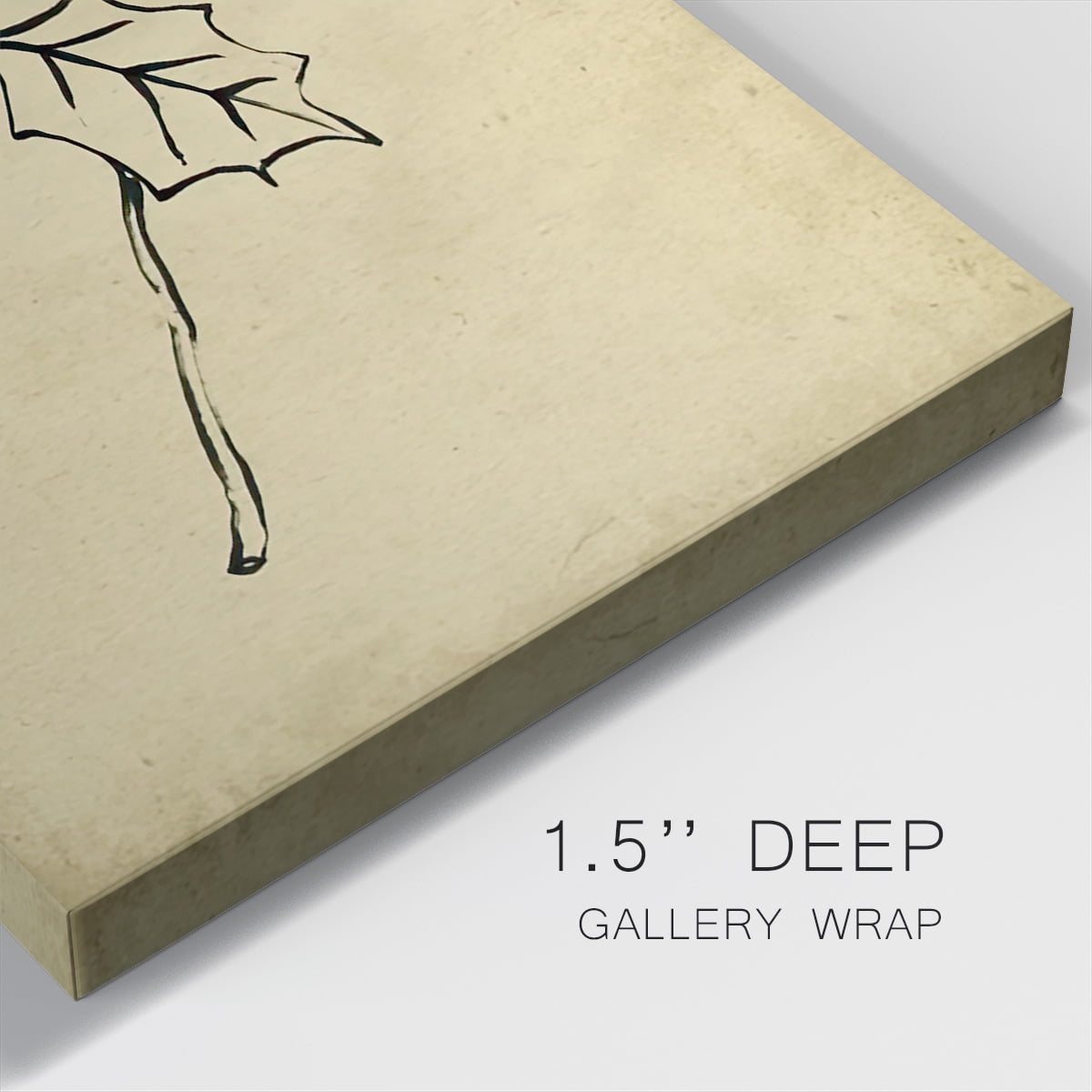Holly Branch II- Gallery Wrapped Canvas