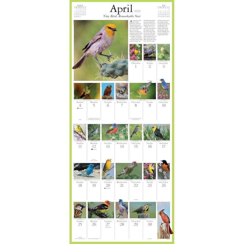 Melodies.　Sweet　Calendar　2022　and　and　(Calendar)　Daily　Sighting　of　Birds　that　Color,　Bring　Other　Audubon　Backyard　Wall　Songsters　Songbirds　Joy,　Picture-A-Day　Your