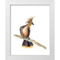 thumbnail image 1 of Shefranov, Olga 20x24 White Modern Wood Framed Museum Art Print Titled - Perched Bird II, 1 of 4
