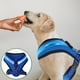 thumbnail image 4 of EeaseMX 1 juego de chaleco luminoso LED para perros, transpirable, con carga USB, para mascotas., 4 of 7