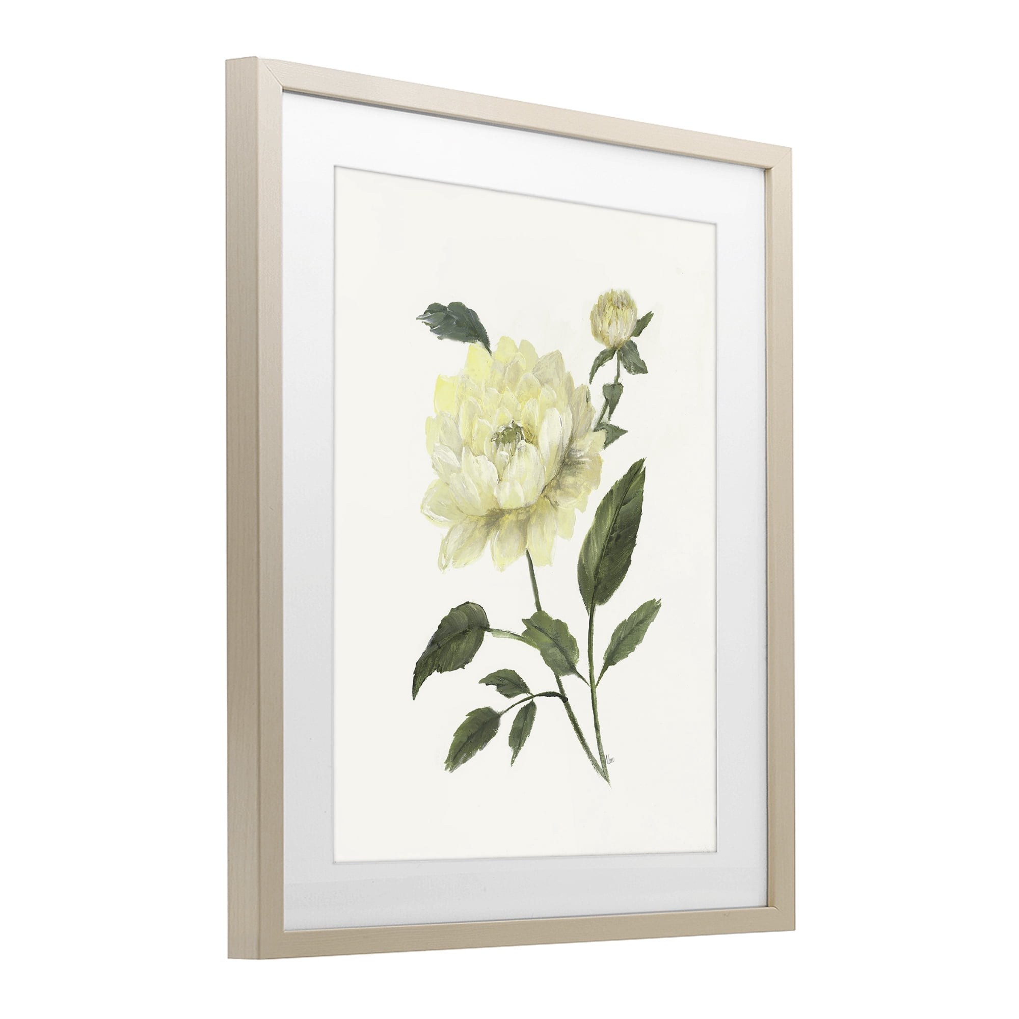 Stupell Industries Cream Garden Peony with Buds Birch Framed Print Under Glass, design by Nan