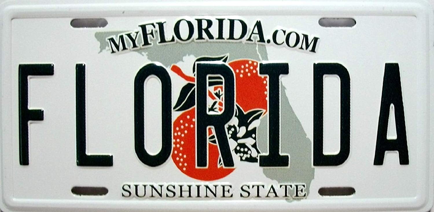 USA I Love Florida Kühlschrankmagnet Magnet Blechschild License Plate Style 