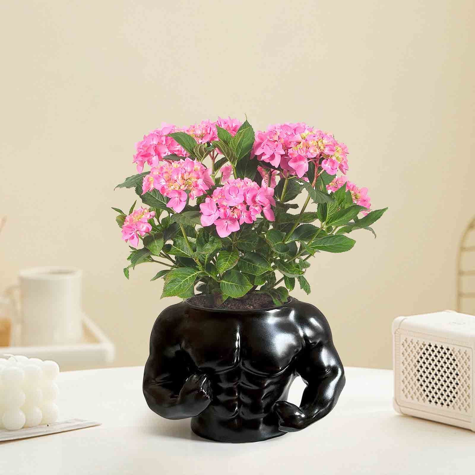 Jubipavy Plant Pots Bowl Noodle Bowl Instant Ramen Bowl Fitness