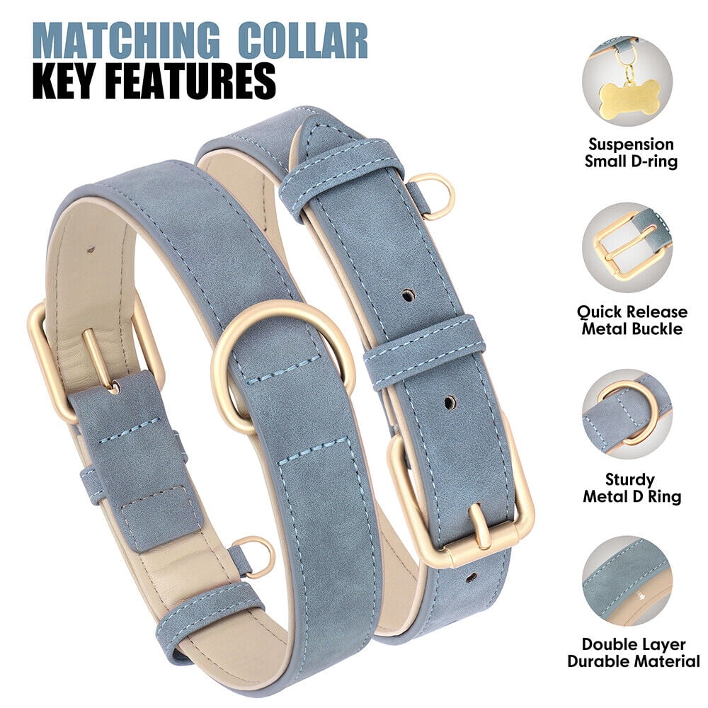 Pet Artist PU Leather Dog Collar and Leash set Soft Padded Adjustable for Pets S-XL