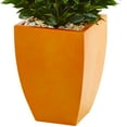 thumbnail image 4 of Nearly Natural 57" Bay Leaf Artificial Topiary Tree in Orange Planter UV Resistant (Indoor/Outdoor), 4 of 4