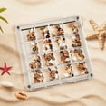 thumbnail image 7 of AEXTO 36 Grids Acrylic Display Box - Clear Shadow Box for Seashell, Rock, and Thimble Collection, Mini Trinket Shelf Organizer for Collectors, 7 of 7