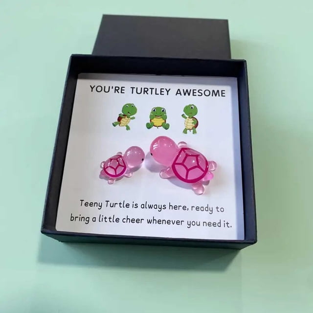 TIMIFIS Turtle Decorations, Turtle Gift Box Set You'Re Turtley Awesome Home Decor