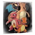 thumbnail image 3 of Cortina de ducha Charmander, impermeable, de poliéster, lavable, decorativa, con 12 ganchos, 72 x 72 pulgadas, de plástico, 3 of 8