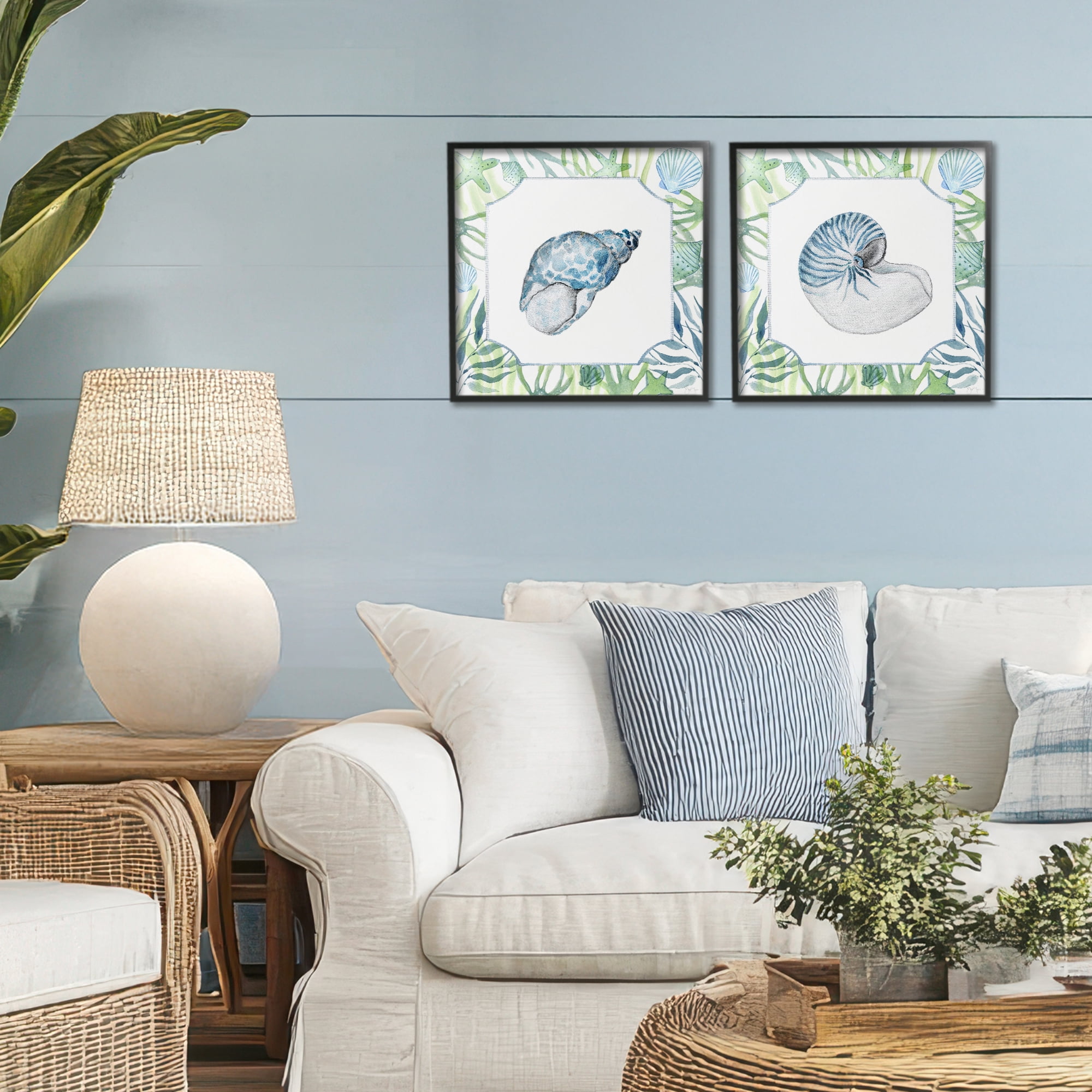 Stupell Industries Seaweed Bordered Seashells 2 Piece Black Framed Giclee Art Set, design by Janet Tava