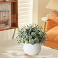 thumbnail image 6 of CuiLiyq Fake Mini Plants, Artificial Potted Plants, Faux Decorative Grass Plant with White Pot, for Porch Patio Thanksgiving or Autumn Home Decor, 6 of 6