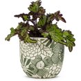 thumbnail image 2 of Abbott Collection Home 27-BERKELEY-563-SM Small Hippie Flower Planter, Ivory/Green, 2 of 2