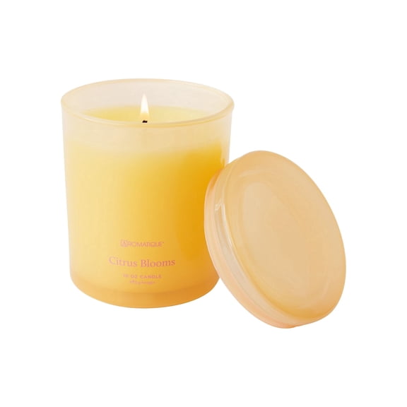 CITRUS BLOOMS Aromatique Foundry 10oz Tinted Glass Scented Jar Candle
