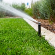 Hunter Pro-Spray 6 In. Pressure Regulated Sprinkler RTL-PROS-06-PRS30