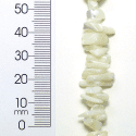 Puka Shell Natural Pearl Chips - Expo Int'l Shell Chips - Natural - 2 x 8