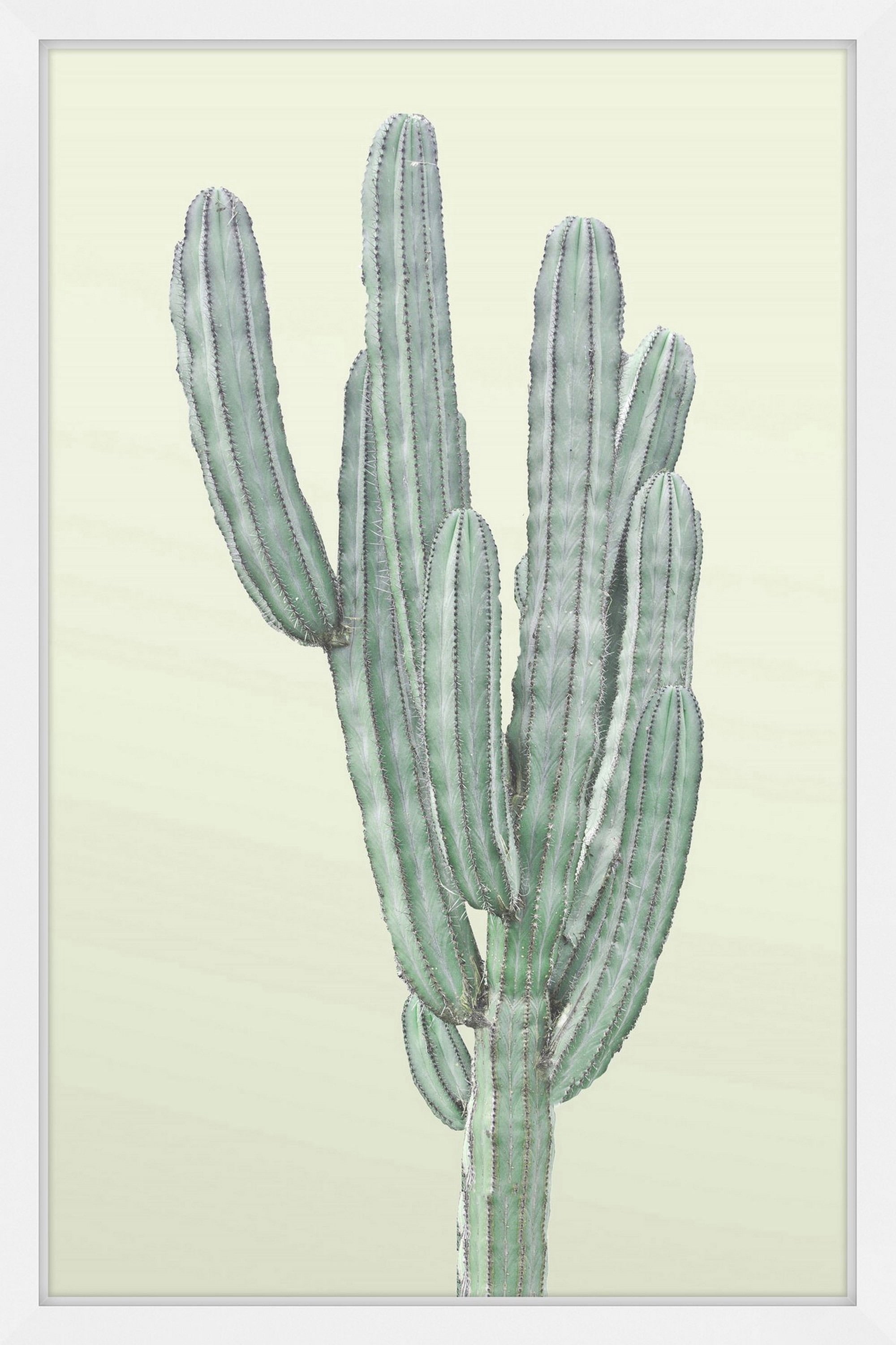 Lone Cactus Framed Painting Art Print