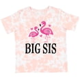 thumbnail image 3 of Inktastic Sister Announcement Flamingo Sister Girls Toddler T-Shirt, 3 of 5
