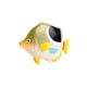 thumbnail image 2 of Conjunto de modelos realistas CUTICAT Figuras de acción de peces Juguetes educativos, 2 of 5