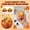 A, variant on Stress Relief Squishy Squeeze Flame Spark Fidget Ball Slow Rising Fire Shape Sensory Ball for Anxiety Reduction and Playful Relaxation A