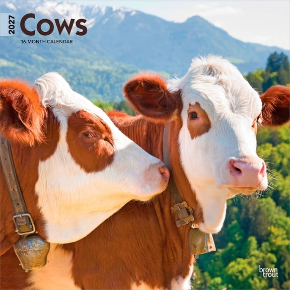 Cows | 2027 12x24" (Hanging) Wall Calendar | Plastic-Free | BrownTrout