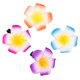 thumbnail image 4 of WORGEOUS 18 PCS PLUMERIA Centralo para el cabello de la flor de la playa CLIPS PEABLES (COLOR ALEATIVO), 4 of 9
