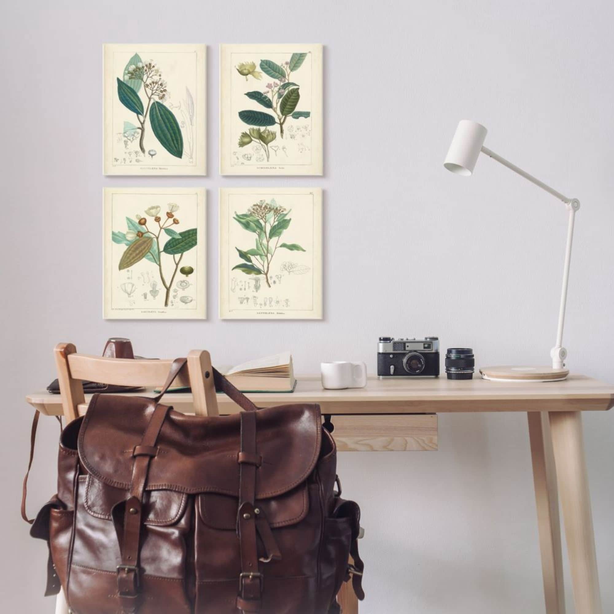 Stupell Industries Vintage Floral Anatomy Illustration Latin Study Design by Unknown Artist