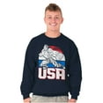 thumbnail image 4 of Street Fighter American Guile USA Men's Crewneck Sweatshirt Brisco Brands S, 4 of 6