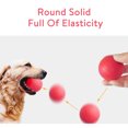thumbnail image 4 of Baohd Solid TPR Pet Balls Bouncy Bite-Resistant Pet Training Chewing Playing Ball Interactive Toy, 4 of 8