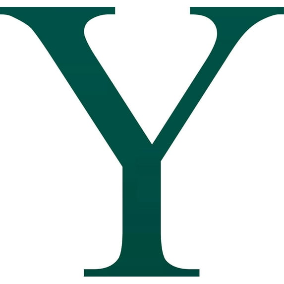 Acrylic Letter Y Times, 10'' Tall Frosted Teal Custom Acrylic Letters, Choose Your Color