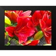 thumbnail image 2 of Grayscale 24x19 Black Modern Framed Museum Art Print Titled - Wet Blooms I, 2 of 5