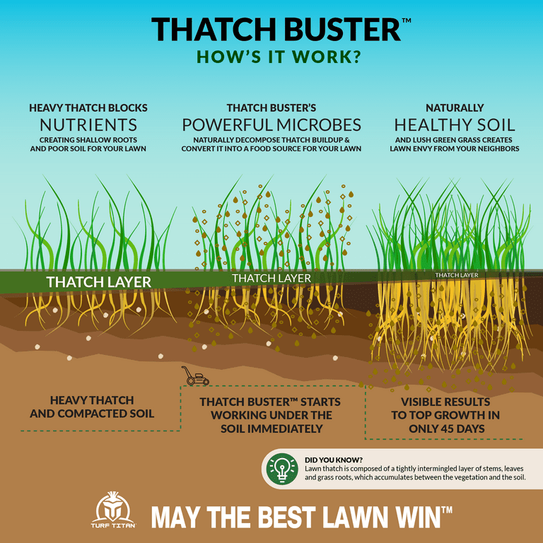 Liquid grass aerator deals