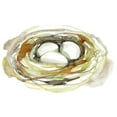 thumbnail image 2 of Goldberger, Jennifer 14x12 White Modern Wood Framed Museum Art Print Titled - Watercolor Nest I, 2 of 4
