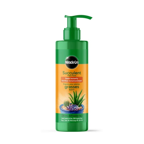 Miracle-Gro Succulent Plant Food 236mL
