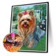 thumbnail image 1 of Cuadros Decorativos 5D bricolaje taladro redondo completo diamante pintura perro Kit hogar dormitorio decoración (sz3073) Tmvgtek embutido en tela, 1 of 8