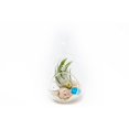 thumbnail image 3 of Glass Teardrop Beach Plant Terrarium - Air Plant, Sand, Starfish and Shell in Propagation Jar - Home and Garden Decor Plant Pot - Easy Care Indoor and Outdoor Plants Vase (1 Teardrop - White Sand), 3 of 12