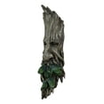thumbnail image 4 of Ebros Celtic Greenman Enigma Face Wall Hanging Sculpture Decor 15" High, 4 of 7
