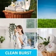 thumbnail image 3 of YANTONG Odor Busterz Balls Air Freshener and Odor Eliminator, 10-Piece - Deodorizer, Carpet Fresh, Odor Remover, Pet Fresh, 3 of 5