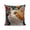 B, variant on Animal Throw Pillow Cover Donkey Pattern Cushion Cover Square Decorative Pillowcase for Sofa Couch Bed Living Room Farmhouse