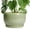Glossy Green, variant on 6 inch Ceramic Planter Blue Glaze with Drainage Hole and Saucer for Orchids and Indoor Plants