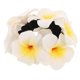 thumbnail image 1 of Hair Scrunchy Women Hair Tie Flower Hair Tie Ponytail Hair Band Hawaiian Flower Hair Tie, 1 of 3