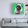 thumbnail image 3 of Kim Curinga 'Pop Dog X' Canvas Art, 3 of 3
