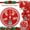 RED/M, variant on Upgraded Cozy Patch Christmas Tree Skirt Quilted Patchwork Tree Skirt Vintage Holiday Mat Decoration D