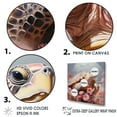 thumbnail image 3 of Designart "Turtle In Romantic Style" Animals Turtle Floater Framed Canvas Prints, 3 of 5