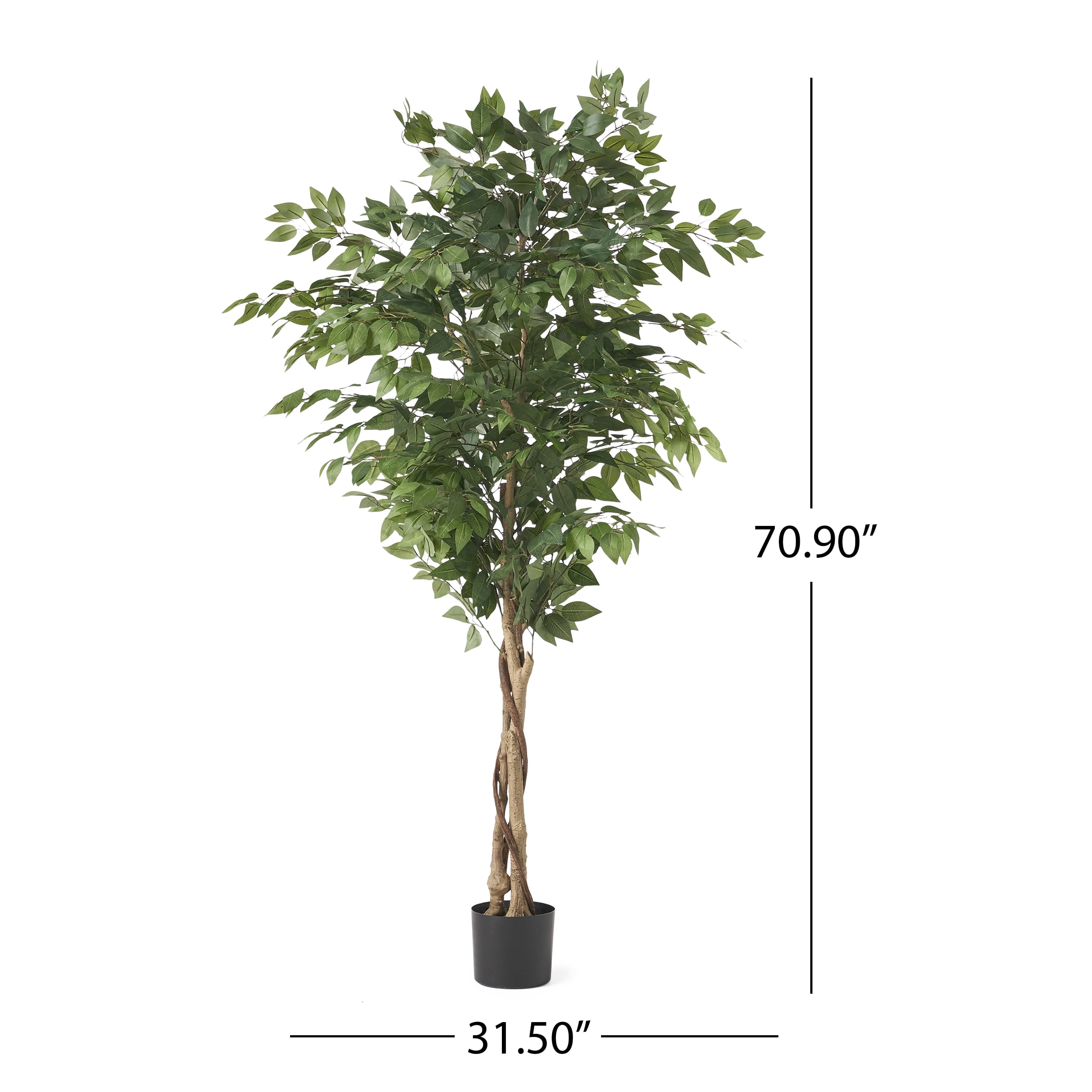 Harney 6' x 2.5' Artificial Tabletop Ficus Tree, Green