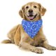 thumbnail image 4 of Pañuelo tipo bandana ajustable y moderno para cachorros, perros pequeños y gatos (S, azul), 4 of 4