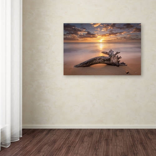 Trademark Fine Art 'Beach Tree Sunrise' Canvas Art by Pierre Leclerc