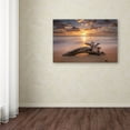 thumbnail image 3 of Trademark Fine Art 'Beach Tree Sunrise' Canvas Art by Pierre Leclerc, 3 of 3