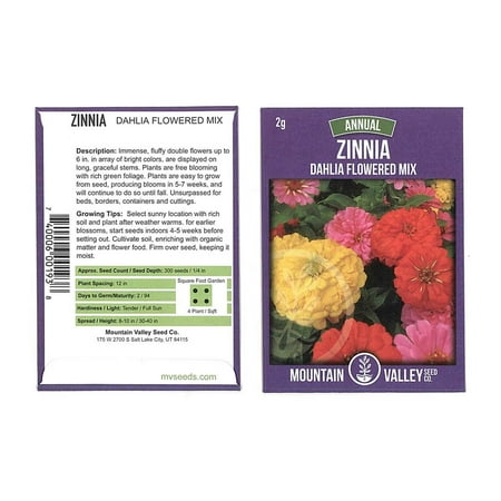 Zinnia Flower Garden Seeds - Dahlia Flowered Mix - 2 g Packet - Annual Flower Gardening Seed