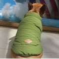 thumbnail image 3 of Ropa de invierno para perros: abrigos y chaquetas abrigadas, chalecos para cachorros de tamaño pequeño, mediano y grande, abrigos de invierno con plumas (M, verde)., 3 of 5