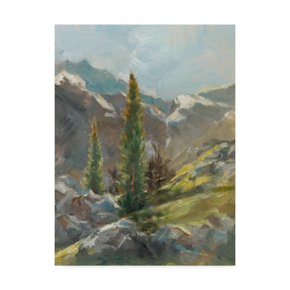 Trademark Fine Art 'Rocky Hillside I' Canvas Art by Ethan Harper